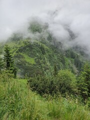 misty morning in the mountains