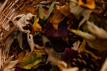 
golden autumn leaves in a wicker basket