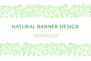 Vector herbal banner with drawings of herbs. Natural cosmetic label. Leaf silhouette for eco store, healthy food. Botanical border for bio pattern, herbal medicine with organic illustrations.