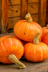 Orange pumpkins on a wooden bench