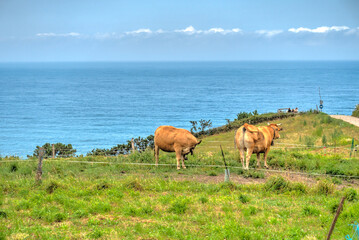 Naklejka na ściany i meble Playa del Silencio, Asturias, Spain