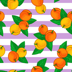 Seamless botanical pattern with apricots and leaves on striped background. Vector illustration.