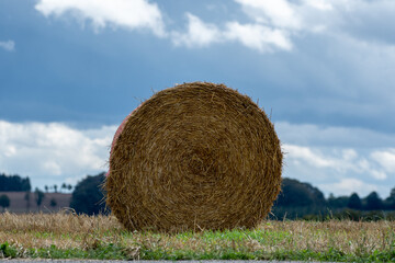 hay bales in the field