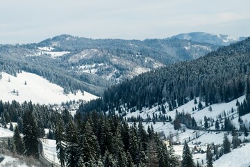 Valley in the moutains with forests full of snow during winter in Romania