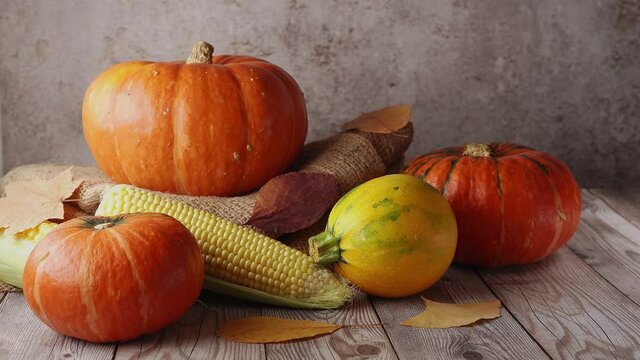 Still life with many pumpkins on rustic background. Autumn concept. Movement from top to bottom. Thanksgiving day. Harvest. 4K UHD