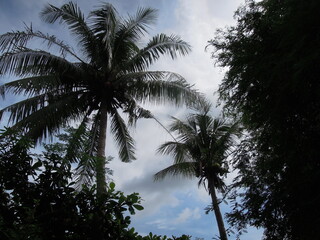 Hundred Island in Philippines