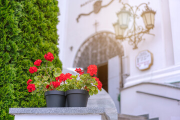 open church door with red flowers foreground wedding concept
