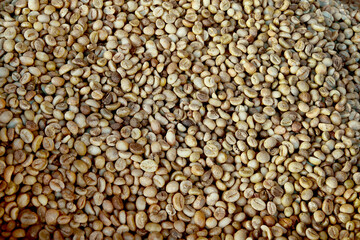  Close up of coffee beans for background                                