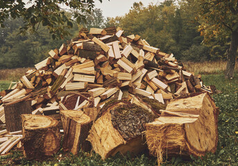 Wooden natural sawn logs in nature.