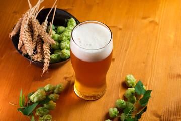 Cold light beer in a glass with wheat and hops on a wooden table. concept of Oktoberfest