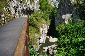 Senda del Oso, Teverga, Asturias, España, Spain