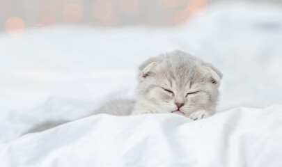 Tiny kitten sleeps on a bed at home