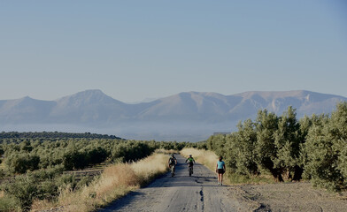 Bikers biking on the road surrounded by greens