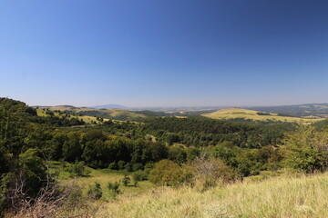 Obraz premium forest in the mountains