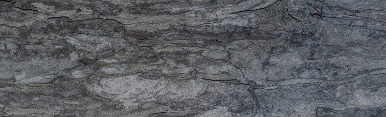 Obraz premium Tropical Texture: Abstract Rain Tree bark detail banner