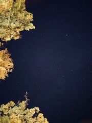 golden stars on blue background