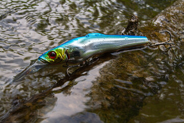 wobbler is lying on a snag