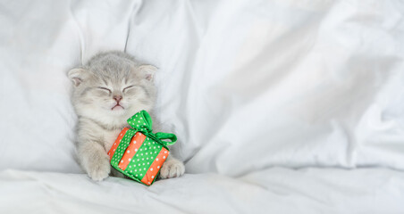 Gray kitten sleeps under blanket with gift box. Top down view. Empty space for text