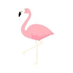 Pink cute flamingo. Flamingo cartoon vector illustration isolated on white background