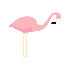 Pink cute flamingo. Flamingo cartoon vector illustration isolated on white background