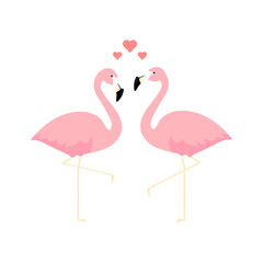Pink flamingos love concept. Couple of two cute flamingo with hearts vector illustration isolated on white