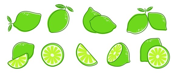Cut lime. Fresh citrus fruit, slice and leaves. Isolated green lemon illustration, juicy organic fresh detox vitamin vector illustration. Fruit lemon vegetarian cut, vitamin detox and refreshing