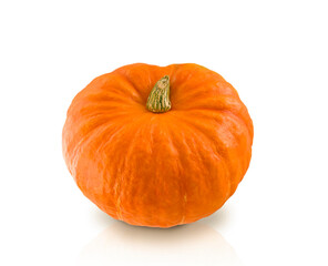 one pumpkin on isolated white background