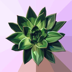Low poly illustration of a leafy succulent
