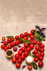 Ripe cherry tomatoes, garlic, basil, salt and black peppercorns on a stone culinary background
