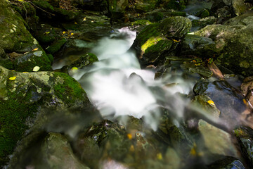 Fototapeta na wymiar Water flow in a mossy valley