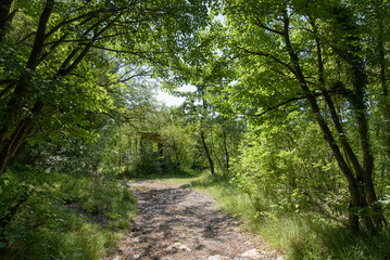 Remains of border observation post from 1920 on 