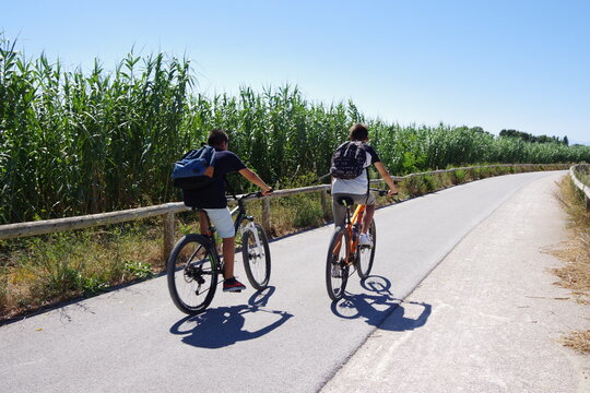 jeunes gar&ccedil;ons cyclistes &agrave; v&eacute;lo, sur piste cyclable voie verte 