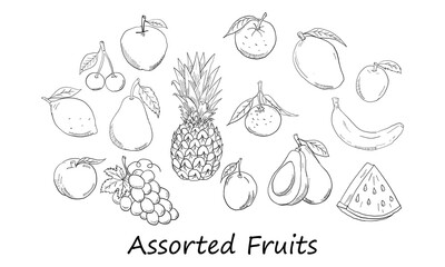Illustration of hand sketch of variety of fruits icon isolated in white background.
