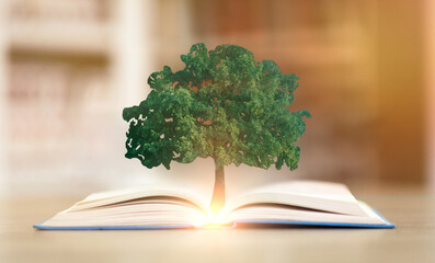 Tree Growing From Opened Book Lying On Desk In Library