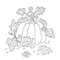 Hand drawn ripe pumpkin with leaves and simple pattern and seeds. Vegetable food illustration on white isolated background. Suitable for coloring book, Halloween or Thanksgiving day poster, banner.