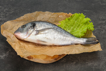 Raw Dorada fish  for cooking