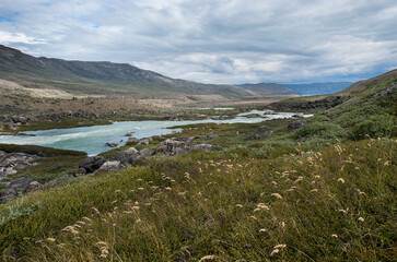 Fototapeta na wymiar Salmon fishing in Greenland tundra river