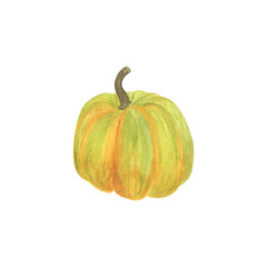 Pumpkin hand drawn watercolor illustration orange vegetable for seasonal autumn holidays celebration design, healthy vegetarian diet, thanksgiving, halloween clip art