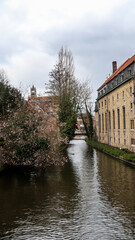 Canals of Bruges with trees and buildings during a cloudy day - traveling to Bruges