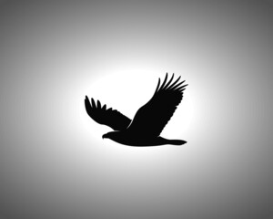 Obraz premium Eagle Silhouette on White Background. Isolated Vector Animal Template for Logo Company, Icon, Symbol etc