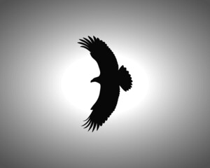 Eagle Silhouette on White Background. Isolated Vector Animal Template for Logo Company, Icon, Symbol etc
