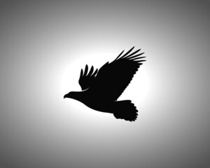 Eagle Silhouette on White Background. Isolated Vector Animal Template for Logo Company, Icon, Symbol etc