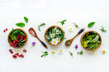 Layout of herbal tea with fresh summer herbs and wild flowers
