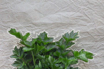 Fresh green vegetables on a beige background. Crumpled eco background. Eco style proper nutrition...