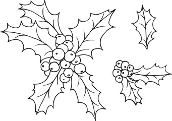 Naklejka premium New Year theme, holly. Vector illustration, isolated image on a white background. Branch of red mistletoe. Coloring page.