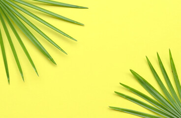 Tropical palm leaves frame on  yellow background.