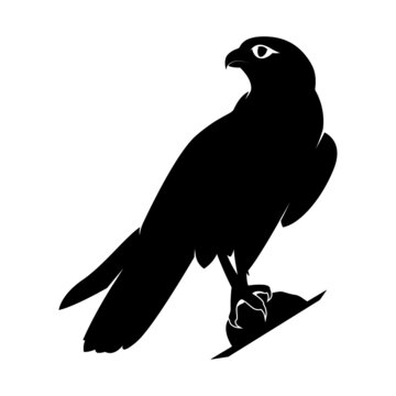 Falcon Silhouette on White Background. Isolated Vector Animal Template for Logo Company, Icon, Symbol etc