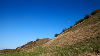 Landscape at the Limfjord in Denmark