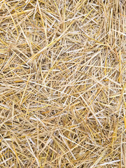 Straw background.