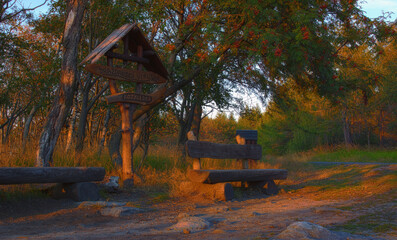 Fototapeta premium bench in autumn